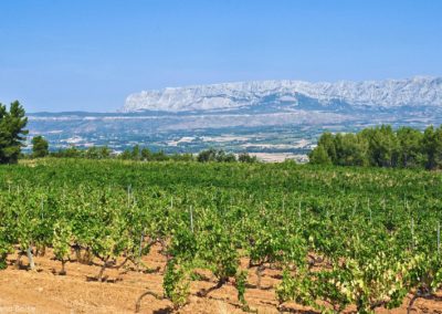 French Riviera Wine Tours - View of Sainte-Victoire Mountain far away 1807x1200