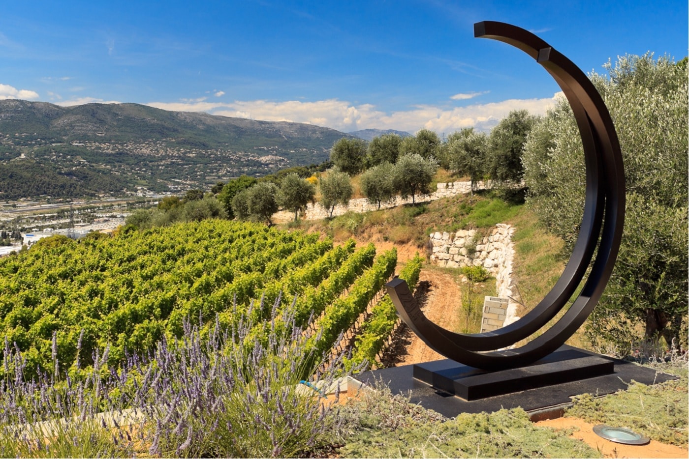 Full-day Wine Tour in French Riviera
