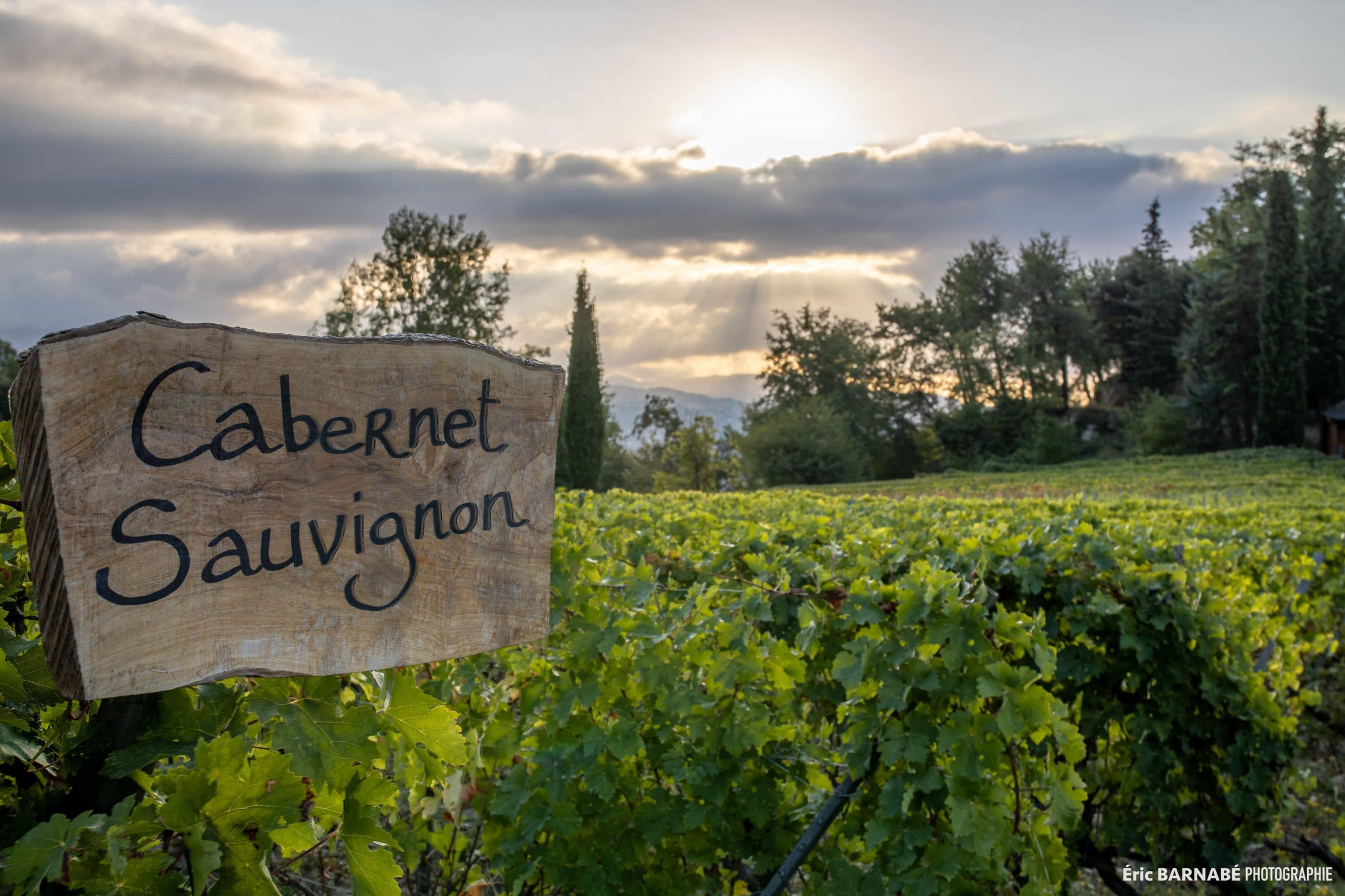 Half-day Wine Tour in Bellet wine region - French Riviera Wine Tours