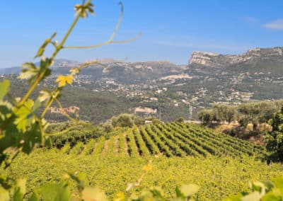 French Riviera Wine Tours - View on the mountains from Bellet's vineyard 3