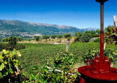 French Riviera Wine Tours - Grape press, Bellet PDO