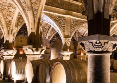 French Riviera Wine Tours - Cellar Château Font du Broc, Côtes de Provence, portrait